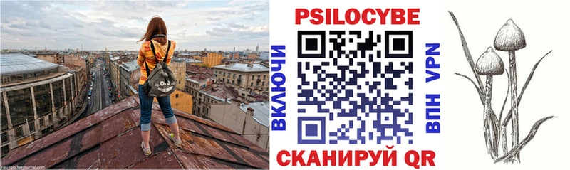 Псилоцибиновые грибы Psilocybine cubensis  Купить закладки  Находка 
